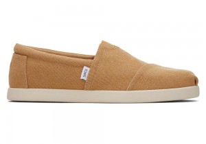 Toms Alp Fwd Doe Recycled Baumwoll Canvas Braun | 0564XOKVE