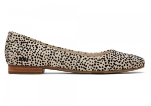 Toms Briella Mini Cheetah Print Leopard | 0145CEROV