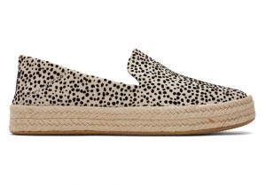 Toms Carolina Mini Cheetah Leopard | 4570DSRPJ