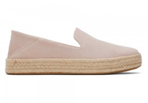 Toms Carolina Wildleder Rosa | 1426SGQZT