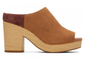 Toms Florence Braun | 7604HJMCY