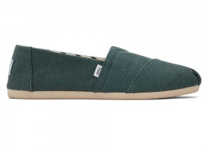 Toms Heritage Canvas Grün | 5047WEVRL