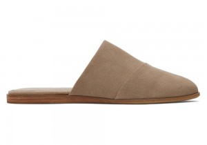 Toms Jade Taupe Wildleder Silber | 5403OECRV