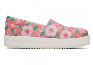 Toms Midform Rosa | 2460VSBFW