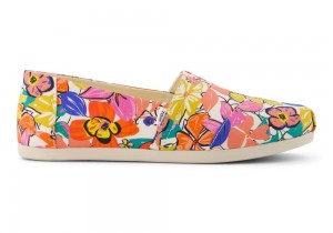 Toms Painted Floral Mehrfarbig | 1920XRDOJ