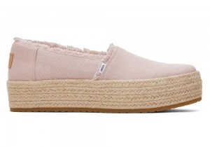 Toms Valencia Canvas Plattform Rosa | 8724IOXGA