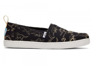 Toms Youth Dino Schwarz | 2054BDGMW