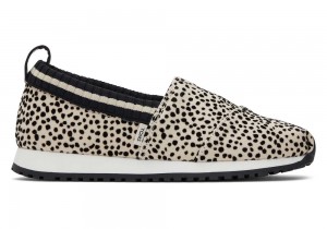 Toms Youth Resident Mini Cheetah Kids Leopard | 3614SVJOU