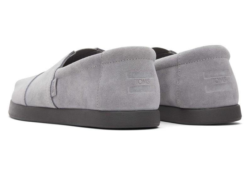 Toms Alp Fwd Distressed Wildleder Grau | 4561FWDZK