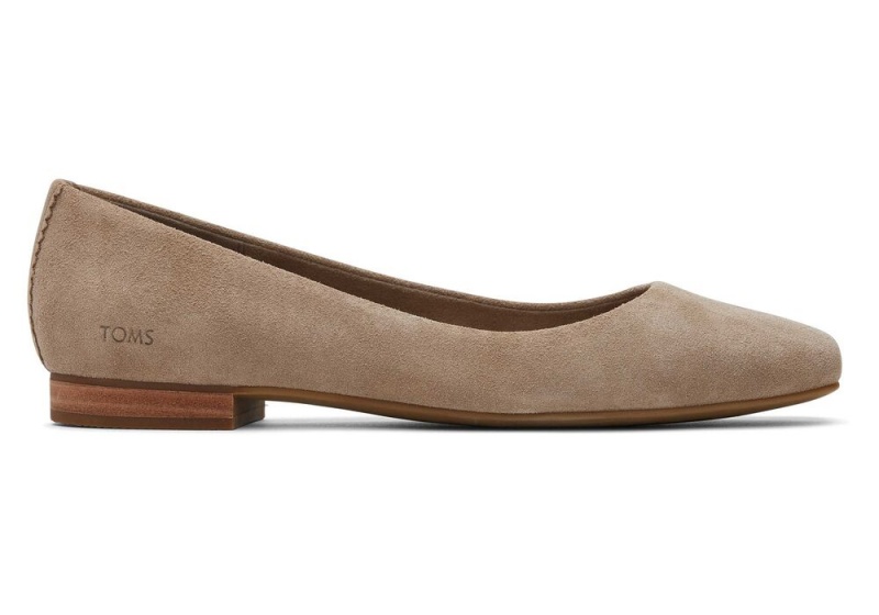 Toms Briella Taupe Wildleder Silber | 2378QBNFX