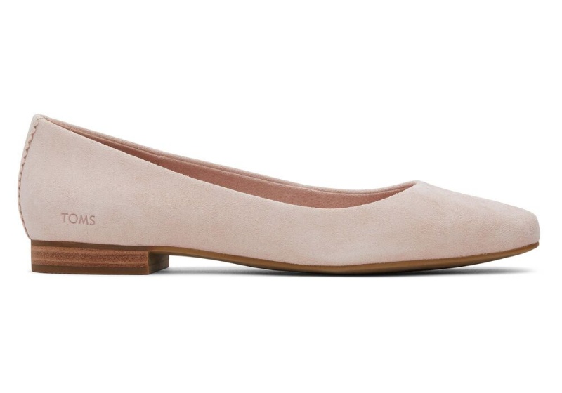 Toms Briella Wildleder Rosa | 4153BVMSP