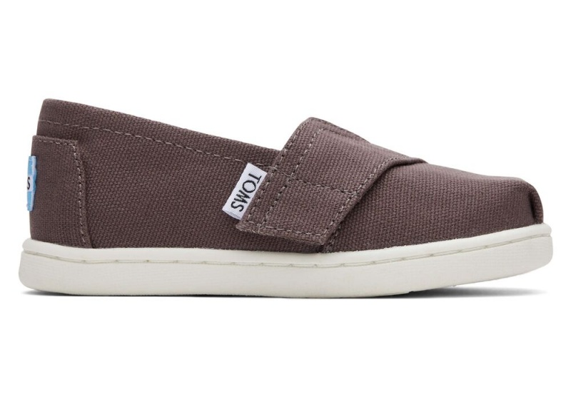 Toms Canvas Toddler Shoe Grau | 4198COTGS