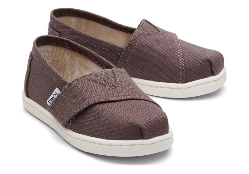 Toms Canvas Toddler Shoe Grau | 4198COTGS