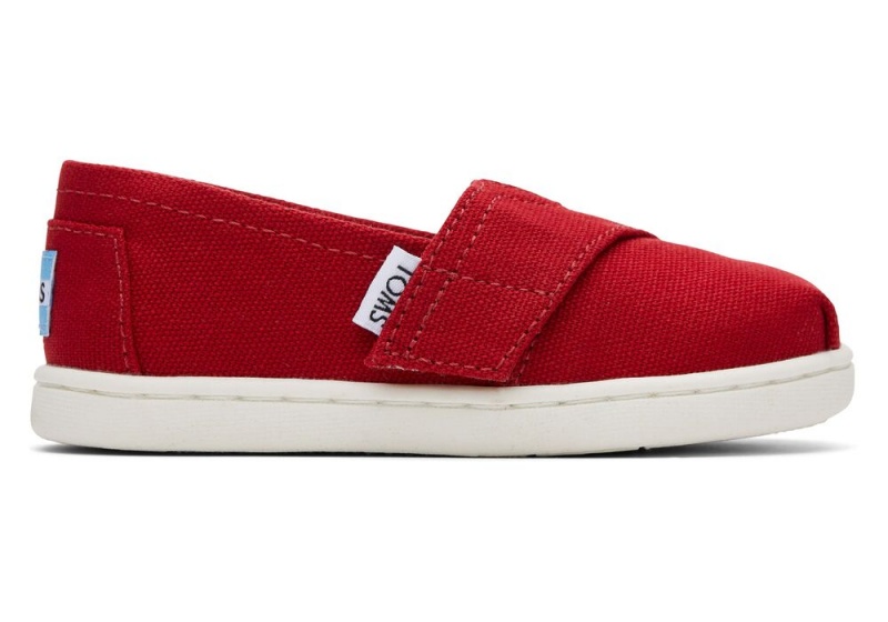 Toms Canvas Toddler Shoe Rot | 7348VTFRW