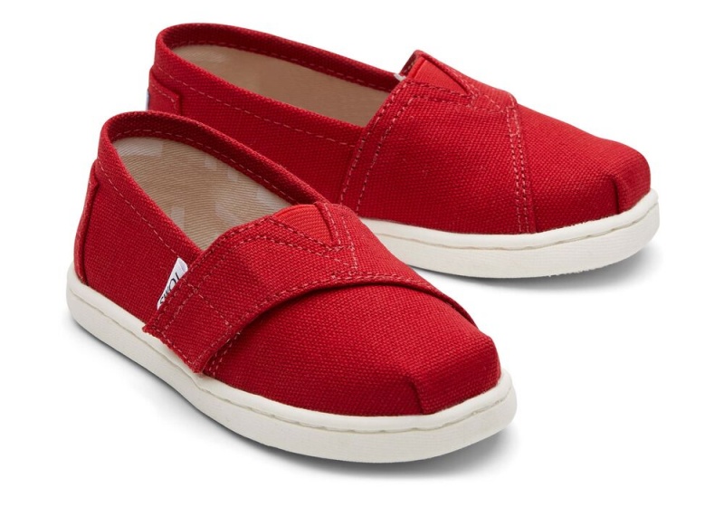 Toms Canvas Toddler Shoe Rot | 7348VTFRW