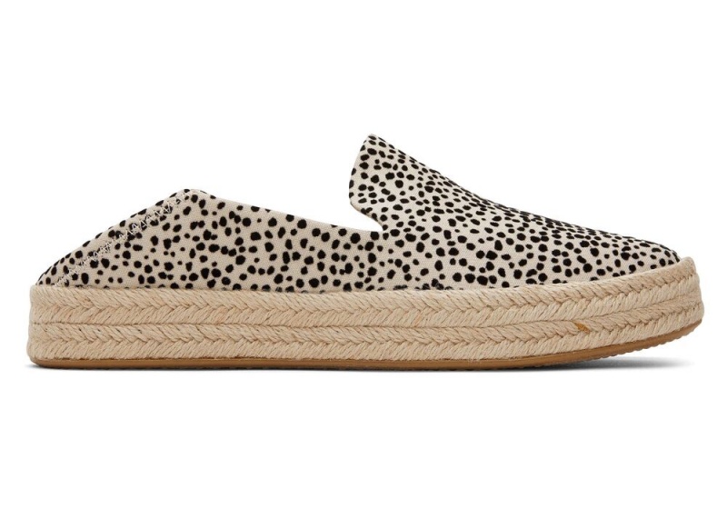 Toms Carolina Mini Cheetah Leopard | 4570DSRPJ