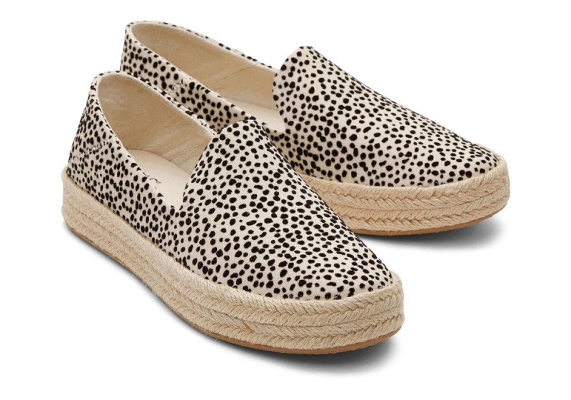 Toms Carolina Mini Cheetah Leopard | 4570DSRPJ