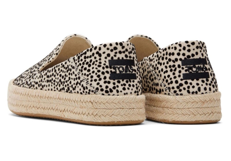 Toms Carolina Mini Cheetah Leopard | 4570DSRPJ