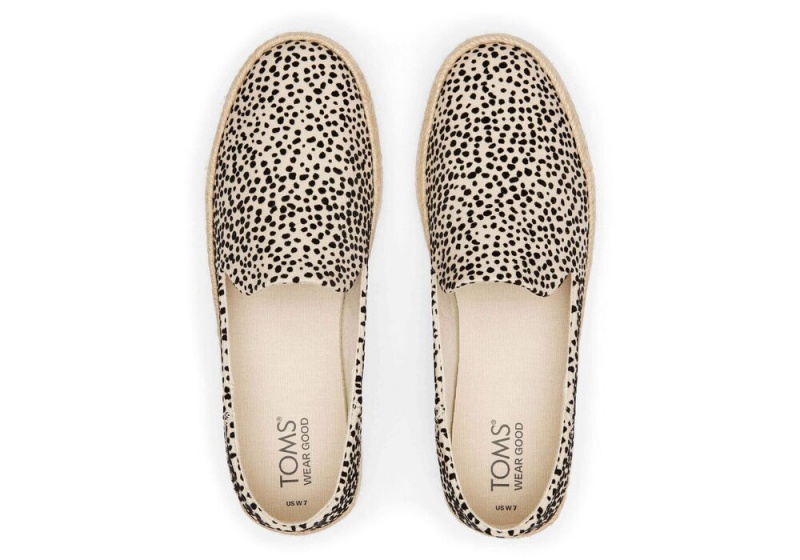 Toms Carolina Mini Cheetah Leopard | 4570DSRPJ