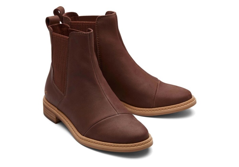 Toms Charlie Chestnut Leder Braun | 9380VMCKX