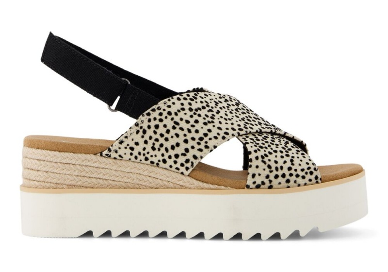 Toms Diana Crossover Mini Cheetah Leopard | 8617HSCMW