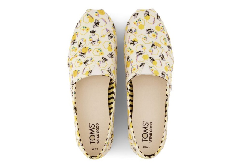 Toms Floral Honeycomb Bees Gelb | 8576RBAEM