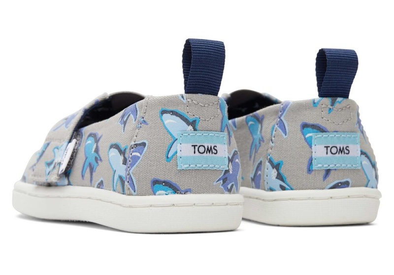 Toms Great Sharks Toddler Shoe Weiß | 8791ZKUHY