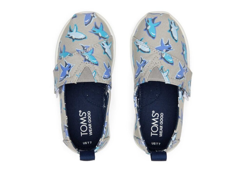 Toms Great Sharks Toddler Shoe Weiß | 8791ZKUHY