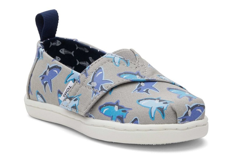 Toms Great Sharks Toddler Shoe Weiß | 8791ZKUHY