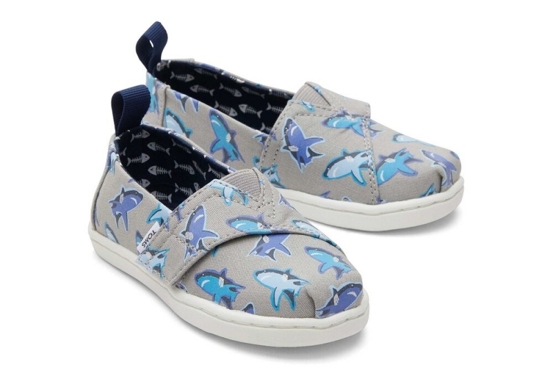 Toms Great Sharks Toddler Shoe Weiß | 8791ZKUHY