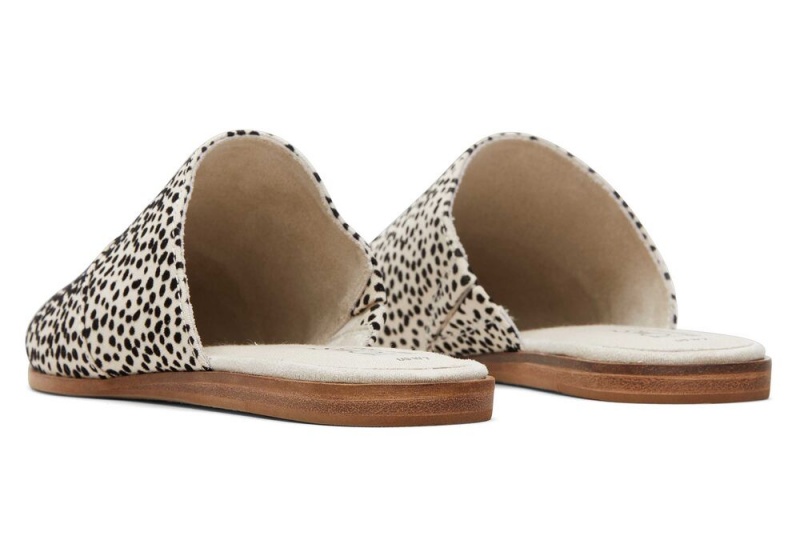 Toms Jade Mini Cheetah Print Leopard | 4629RMCEA