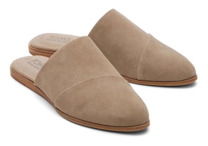 Toms Jade Taupe Wildleder Silber | 5403OECRV