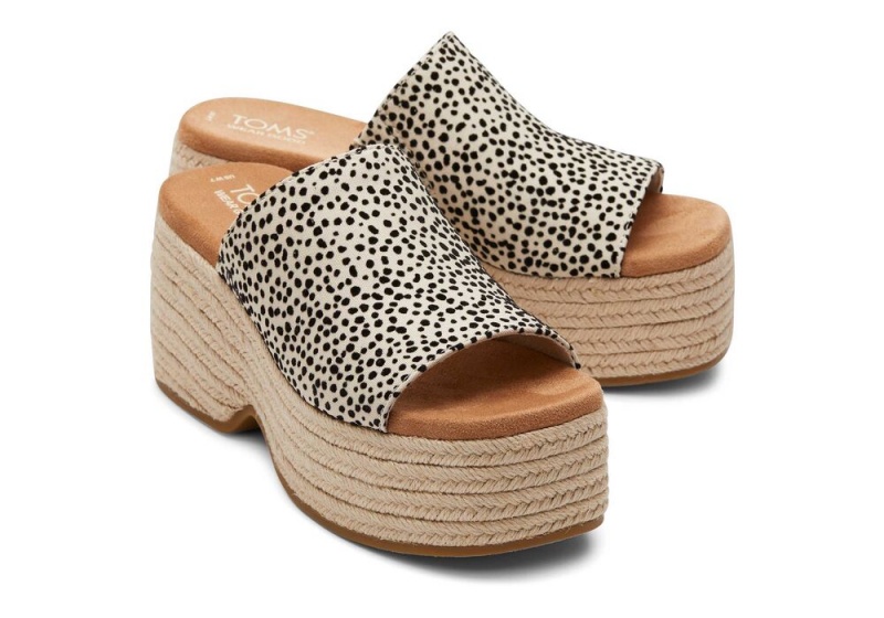 Toms Laila Mule Mini Cheetah Leopard | 2164VIZKS