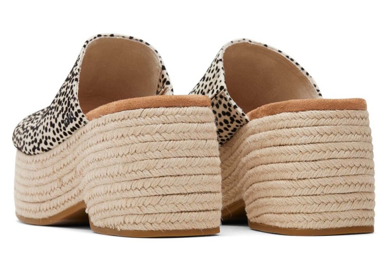 Toms Laila Mule Mini Cheetah Leopard | 2164VIZKS