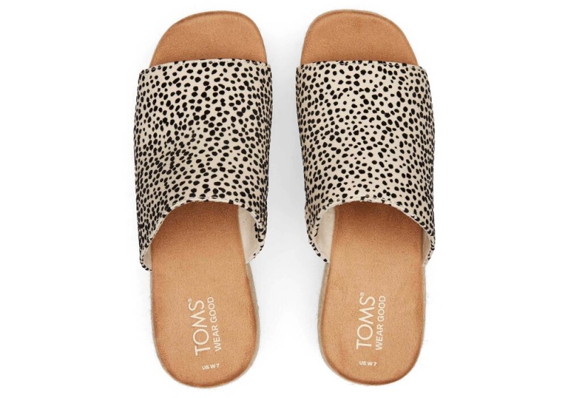 Toms Laila Mule Mini Cheetah Leopard | 2164VIZKS