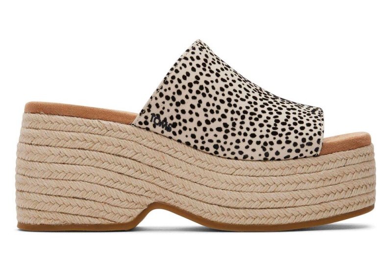 Toms Laila Mule Mini Cheetah Leopard | 2164VIZKS