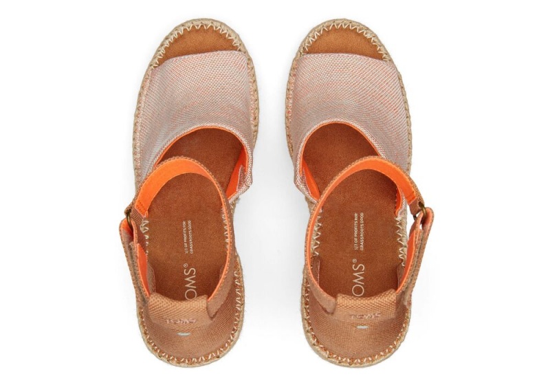 Toms Marisol Aprikose | 8674PBCLU