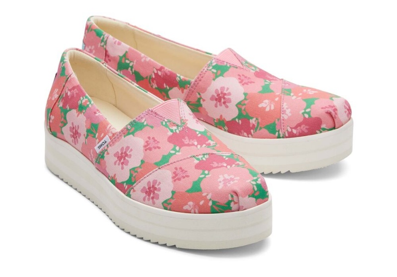 Toms Midform Rosa | 2460VSBFW