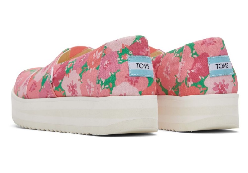 Toms Midform Rosa | 2460VSBFW