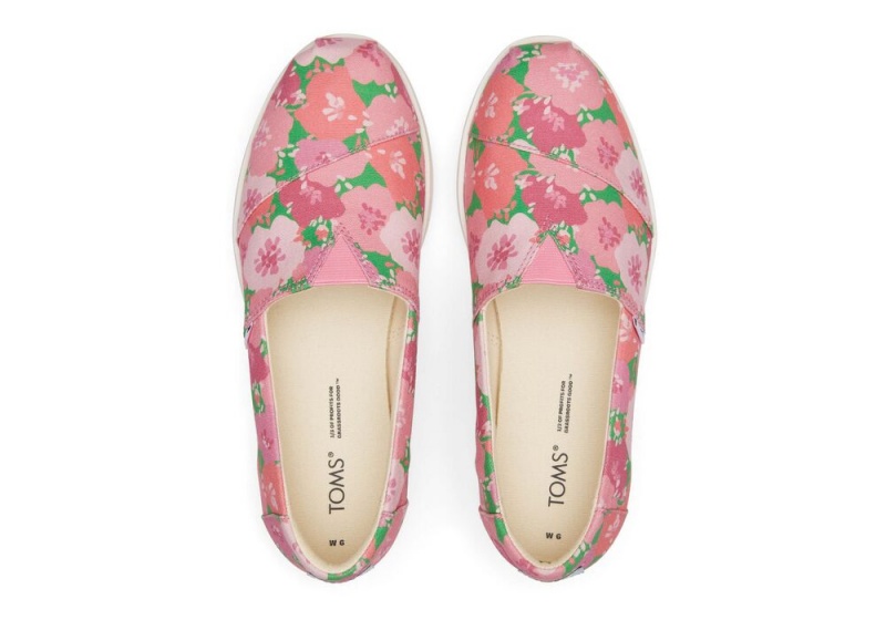 Toms Midform Rosa | 2460VSBFW