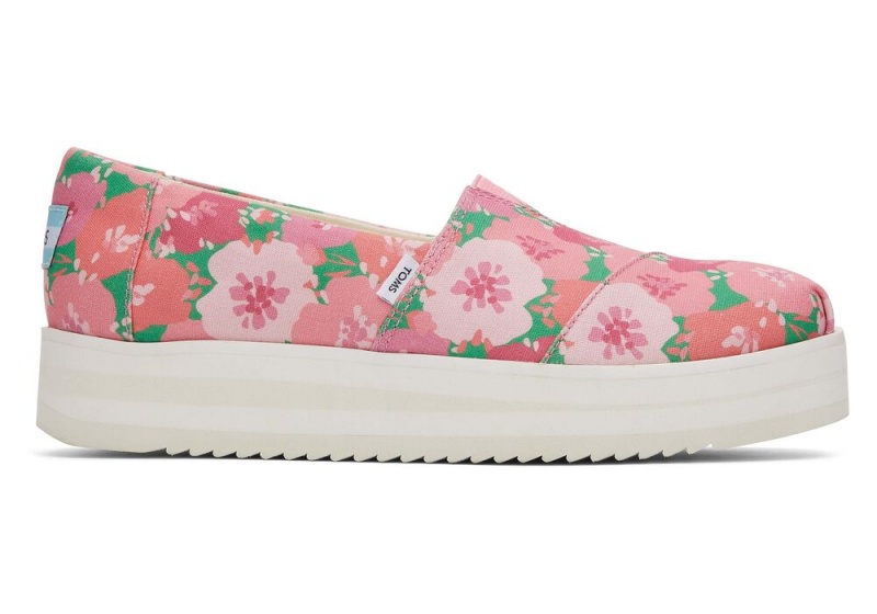 Toms Midform Rosa | 2460VSBFW