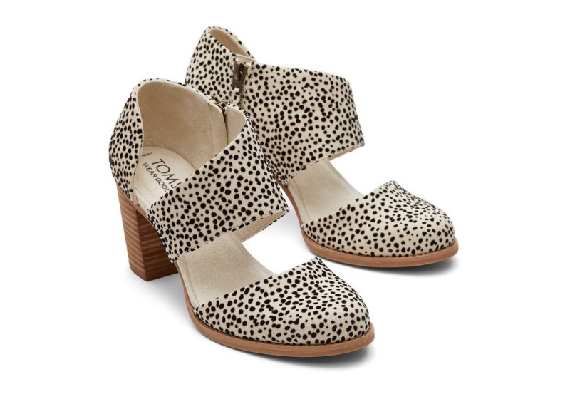 Toms Milan Mini Cheetah Closed Kappe Heel Leopard | 3612ZTDBJ