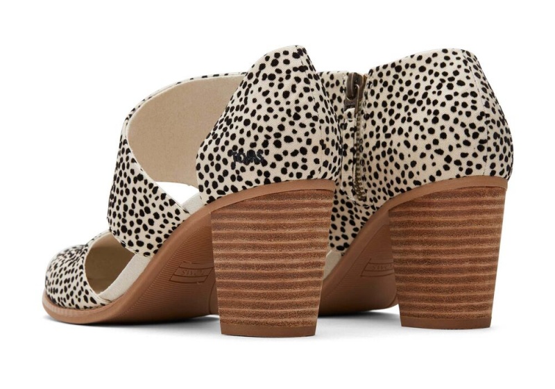 Toms Milan Mini Cheetah Closed Kappe Heel Leopard | 3612ZTDBJ