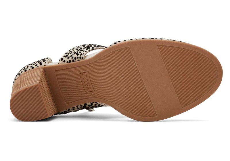 Toms Milan Mini Cheetah Closed Kappe Heel Leopard | 3612ZTDBJ