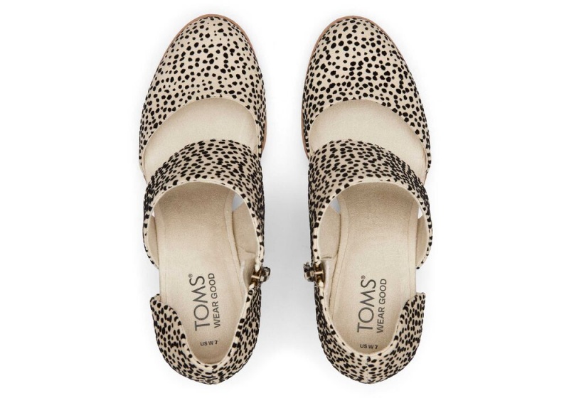 Toms Milan Mini Cheetah Closed Kappe Heel Leopard | 3612ZTDBJ