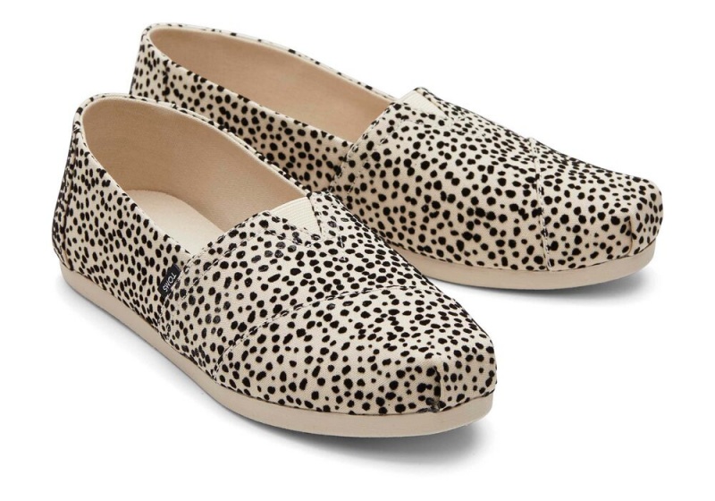 Toms Mini Cheetah Leopard | 1496ZFAMV