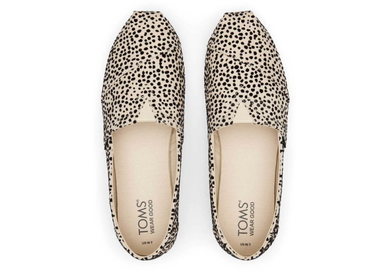 Toms Mini Cheetah Leopard | 1496ZFAMV