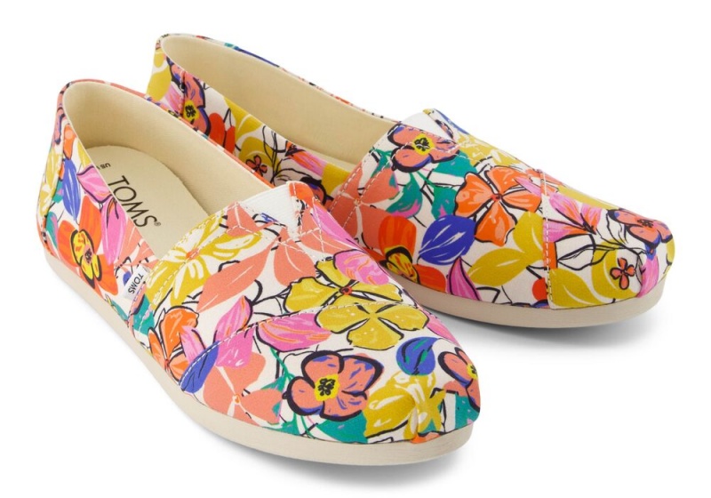 Toms Painted Floral Mehrfarbig | 1920XRDOJ