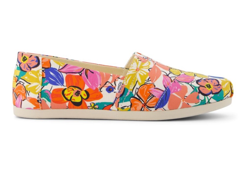 Toms Painted Floral Mehrfarbig | 1920XRDOJ