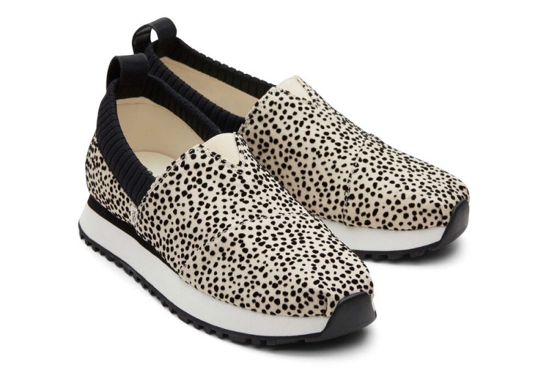 Toms Resident 2.0 Mini Cheetah Leopard | 8413MPBSD